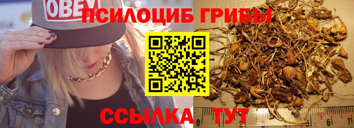 Галлюциногенные грибы Magic Shrooms Лесосибирск