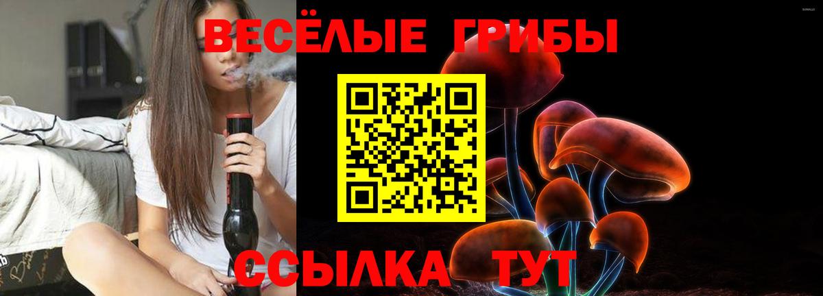Лесосибирск  Псилоцибиновые грибы Magic Shrooms  закладки  Вход с VPN 