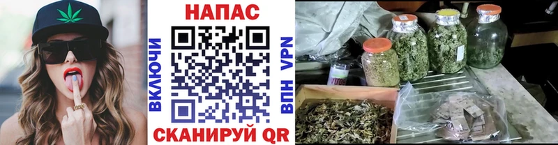 Марихуана White Widow  как найти наркотики  Лесосибирск 